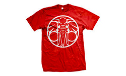 sample41